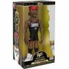 Legend Allen Iverson Premium Vinyl Figure Funko Chase Funko!