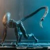 Toys & Action Figures Alien 3 Dog Alien Look Up Hiya